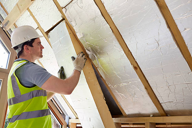 Best Specialized Insulation Services in Lowell, IN